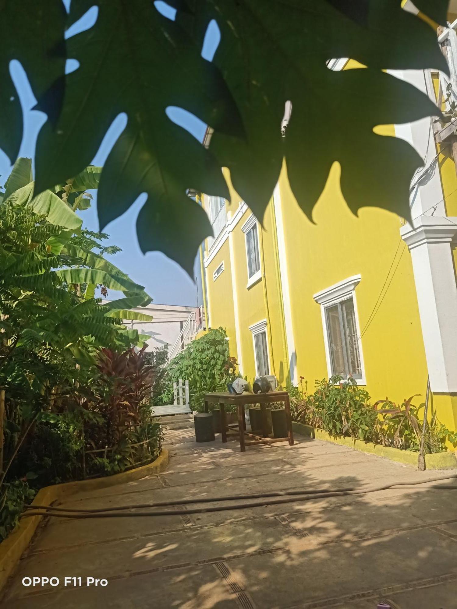 Homestay Yellow Natural House Sziemreap Kültér fotó