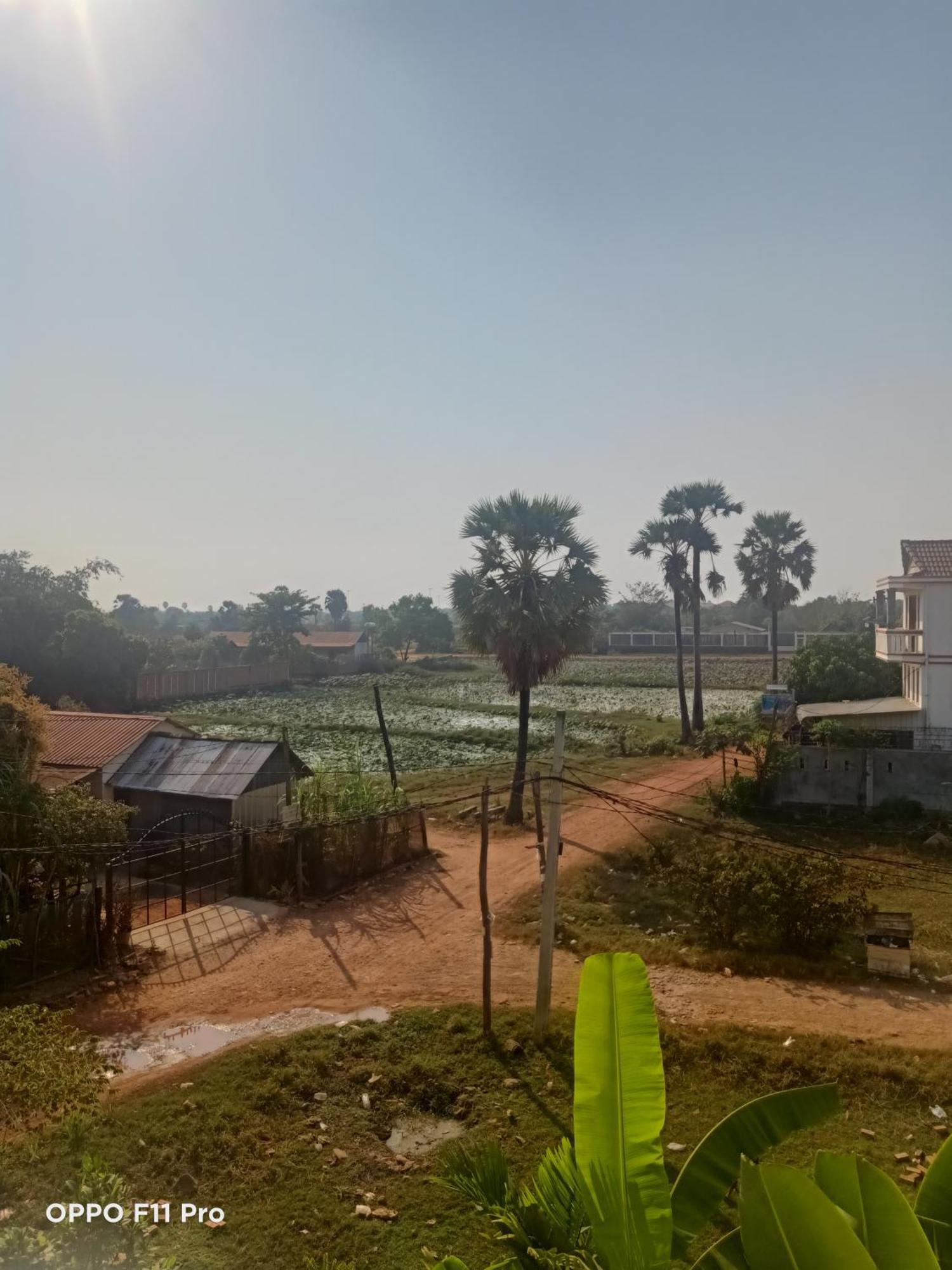 Homestay Yellow Natural House Sziemreap Kültér fotó