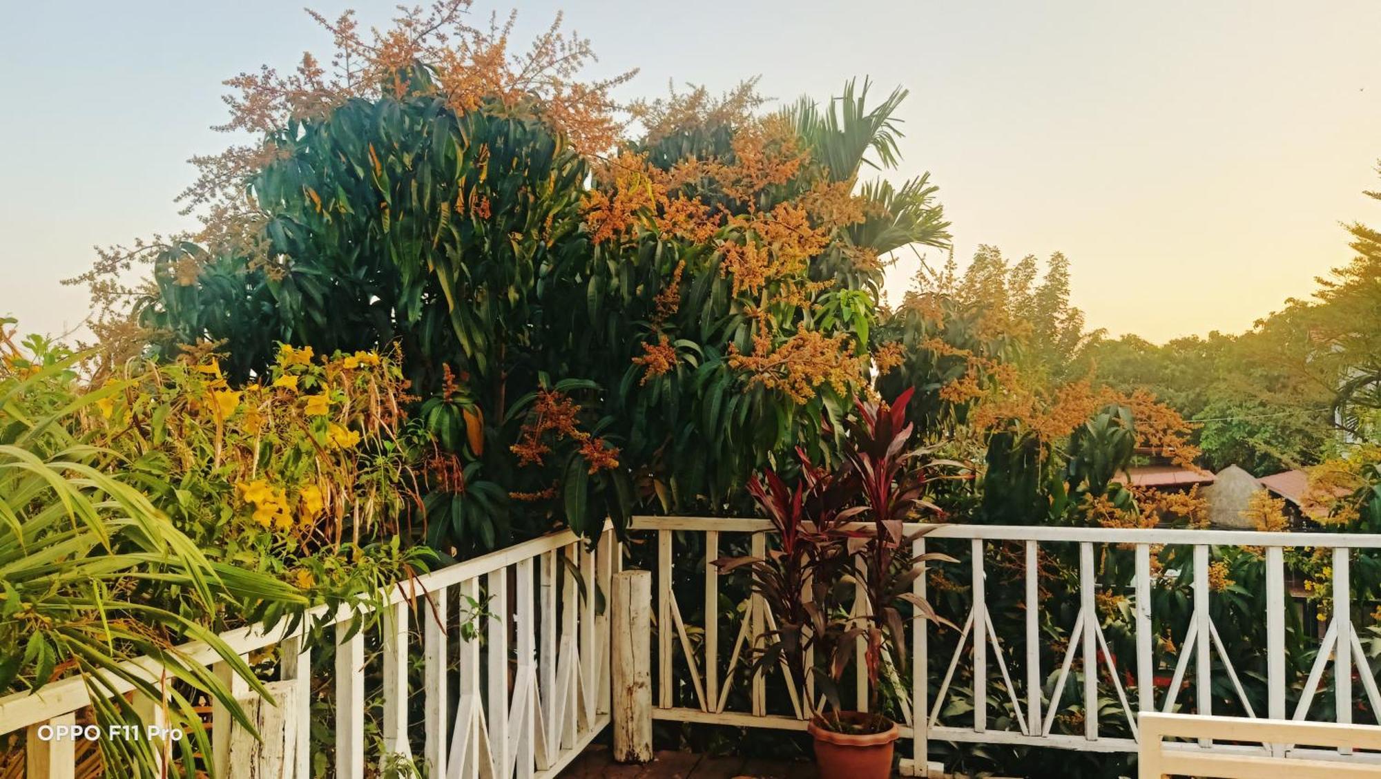 Homestay Yellow Natural House Sziemreap Kültér fotó